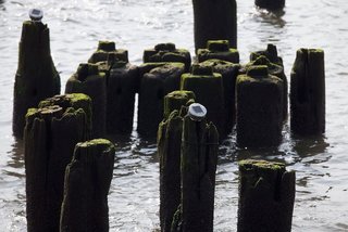 Reflecting the Stars - Photo 1 of 3 - Selected piers feature 217 solar powered LED lights atop them.