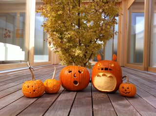Three Great House Blogs - Photo 1 of 3 -