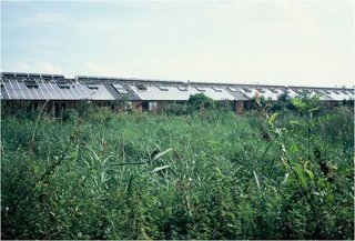 Not nearly as well known, but no less impressive, the Hockerton Housing Project in north-central England is a five home rural community self-developed by five families. Completely passive solar (at the same latitude as Edmonton!), Hockerton is a net energy producer. It is a hidden gem and a great example for aggressively green co-housing projects.