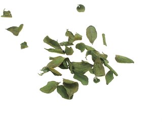 And a pile of mistletoe leaves.
