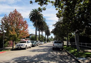 Dwell Home Venice: Part 1 - Photo 9 of 10 - Looking south down our street in Fall.
