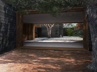 A view from the pine needle courtyard across the living and dining room to the main courtyard. The cropped tree on the right side of the image is the existing mature pine tree which was retained as a key design element.