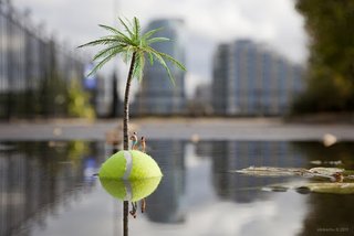 Friday Finds 01.20.12 - Photo 9 of 9 -