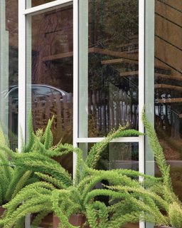 Green Is in the Details - Photo 4 of 6 -