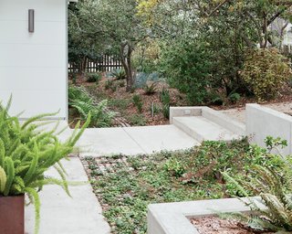Green Is in the Details - Photo 6 of 6 -