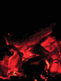Warmth - Photo 1 of 1 -