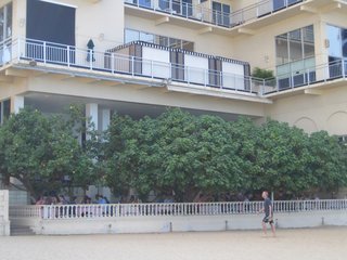 Hau Tree Lanai in Honolulu - Photo 3 of 5 - Considering how lovely the view was from the restaurant, I was surprised at how wholly the tree covers the place when viewed from the beach.