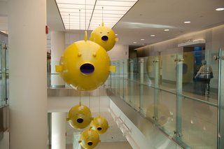 Public Art at Johns Hopkins - Photo 1 of 5 -