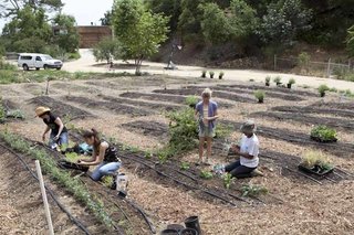 Backtracking in time to March 2011, here's one of the first plantings on the property, as captured by photographer Catherine Ledner. Note the fence hasn't yet gone up.