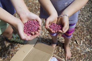 Ingrid and Jane get ready to plant sunflower seeds that were donated to Silver Lake Farms.