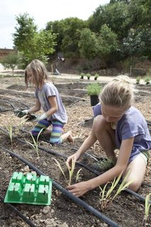 Ingrid and Jane get to work planting seedlings.