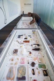 In PIG, Meindertsma researched different products that could be made from a single pig.
