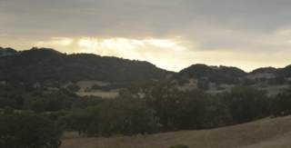 The Yees live in a nature preserve in Carmel, California, in a home designed by Lake Flato Architects. Here's a glimpse at their idyllic surroundings.