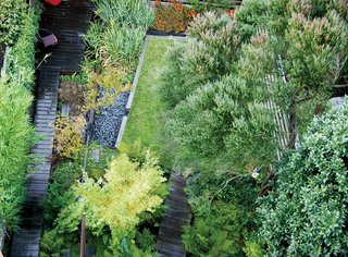 Backyard Marsh in San Francisco - Photo 5 of 5 -