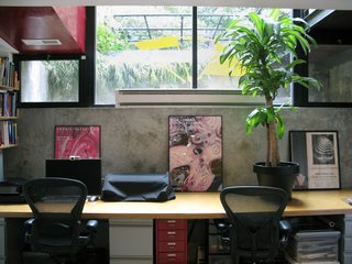 City Modern Home Tours: Brooklyn - Photo 41 of 51 - Crean's studio on the bottom floor is filled with light and features views of the garden.