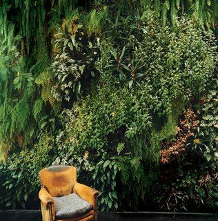 Blanc took the term "living room" to a different level with this striking 20-by-23-foot interior wall for the Dimanche family's home in Paris.