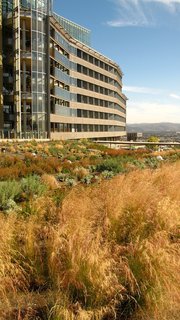 Palomar West Hospital by Marie Goulet.