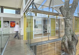 The stacked containers and inner courtyard, which wrap around a cedar tree, allow for plenty of natural sunlight, which helps illuminate the client's work on display in the main gallery space.