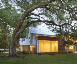 Oak trees are a precious but delicate feature of southern landscapes. Their shallow roots extend far from their bases and are vulnerable to light foot traffic—and certainly to building foundations. The team at +one design & construction used a "coil pile" foundation system—essentially made of corkscrew-like supports—that allows this guest room to harmlessly float over the roots of an 80-year-old tree.