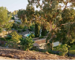 New Retrospective by Esteemed California Photographer - Photo 1 of 5 -