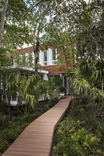 This Modern Miami House Feels Like It's in the Middle of the Jungle - Photo 2 of 12 - A wooden boardwalk twists through the verdant site.