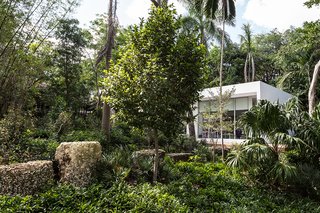 This Modern Miami House Feels Like It's in the Middle of the Jungle - Photo 10 of 12 - An outbuilding on the opposite side of the property is used as a game room.
