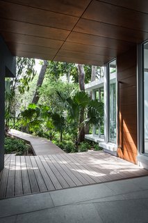 This Modern Miami House Feels Like It's in the Middle of the Jungle - Photo 12 of 12 - "It didn’t seem like the kind of landscape you wanted to go trudging through with your boots, but one that you wanted to observe with detachment," architect Allan Shulman says.