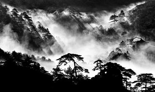Celestial Seasons - Photo 2 of 9 -