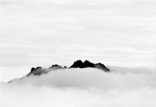 Celestial Seasons - Photo 7 of 9 -