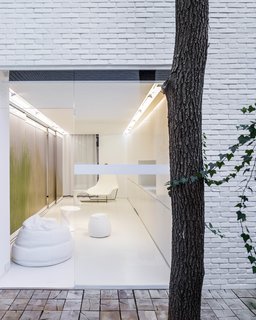 A Vision of the 'Apartment of the Future' From Poland - Photo 6 of 6 -