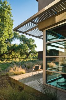 A Sustainable Rammed Earth Home in New Mexico - Photo 1 of 5 - One major directive was to "honor the tree," referring to a particular 85-year-old cottonwood on the property. Photo by: Kirk Gittings