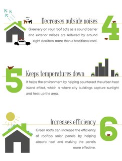 Plant a Green Roof: Feed 70 Chickens and Lower Your Bills - Photo 1 of 7 -