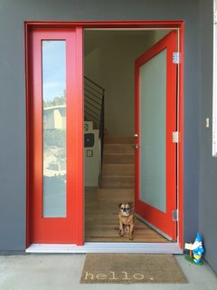 Photo of the Week: A Door and a Dog to Welcome You Home - Photo 1 of 1 -