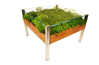 Product Spotlight: Living Tables - Photo 2 of 4 -