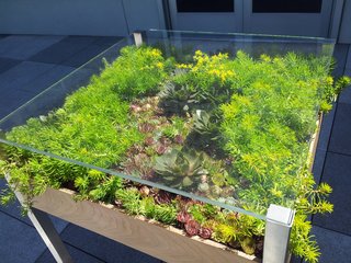 Product Spotlight: Living Tables - Photo 3 of 4 -