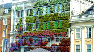 Living Green Walls 101: Their Benefits and How They're Made - Photo 7 of 9 -