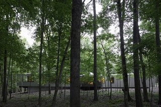 Streamlined Modern Living in the North Carolina Forest - Photo 9 of 10 -