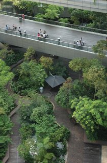Game-Changing Ideas for a Sustainable World - Photo 2 of 8 -