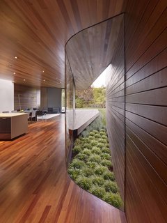 An Indoor-Outdoor Renovation for a 1950s Ranch House in the Bay Area - Photo 2 of 8 - The two wings of the addition are connected by a central "void space." The glass walls visually draw the garden and greenery into the living space. Both East Coast transplants, the couple wanted to more easily take advantage of favorable gardening conditions in the mild Northern California climate. With this in mind, they used the renovation to bring the outdoors in, as well as encourage easy and direct exterior access for gardening.