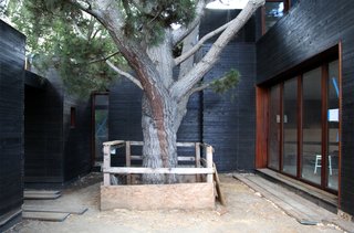 Dwell Home Venice: Part 17 - Photo 11 of 13 -
