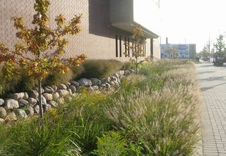 The Pilsen Sustainable Streetscape program revitalized sections of Cermak Road and Blue Island Avenue in Chicago, Illinois. Bioswales—landscape elements that provide environmentally firendly alternatives to storm sewers—line portions of the industial thoroughfares.