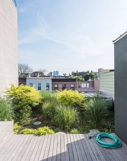 Up top, a verdant green roof of native grasses, wildflowers and fruits creates an oasis.