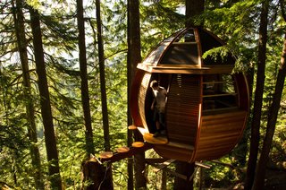 Eighteen-foot-long ribs run from top to bottom to form the treehouse's struts. The floor package runs into the ribs and creates a triangle, which negated the need for more structural support. During construction, Allen broke one of the long ribs but rather than throwing the material away, he repurposed it for the entryway.