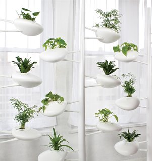 Danielle Trofe DesignThe Live Screen is an indoor planter system that uses self-sustaining, hydroponic technology.