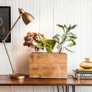 Modern Sprout’s planters were designed by Nick Behr and Sarah Burrows, two Chicago apartment dwellers who wanted to grow their own garden, but didn’t have the space. Struggling to maintain plants in their apartment, they tried hydroponic planters, which yielded results, but were expensive and unappealing to look at. As a result, they designed their own planter—a hydroponic, self-watering system that hides its mechanism beneath a reclaimed wood planter box.