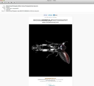 Promo Daily: Michal Horevaj - Photo 1 of 1 -