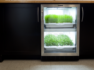 The Urban Cultivator is a dishwasher-sized micro-garden that appears to be a wine rack for plants. It is designed to slide into pre-existing kitchen designs, making it an easy way to add a drawer of fresh herbs to your home.