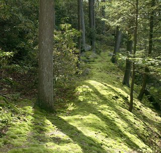 The Remarkable Home of Modernist Designer Russel Wright - Photo 8 of 9 - Meticulously transplanted and cultivated moss pathways crisscross the property. Visitors are frequently astonished to learn the paths were not the landscape's natural state.