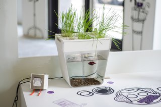 PSFK Imagines Home of the Future - Photo 4 of 5 -