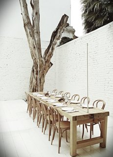One of the private dining rooms at Hueso includes a dead tree that Cadena says sat in front of the building for six years. Initially, he was going to design a suite of custom chairs for the restaurant, each one with individual features, but he settled on classic Thonet chairs instead.